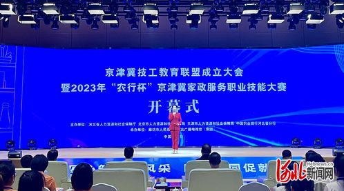 2023年农行杯京津冀家政服务职业技能大赛 信息技术咨询服务的创新应用