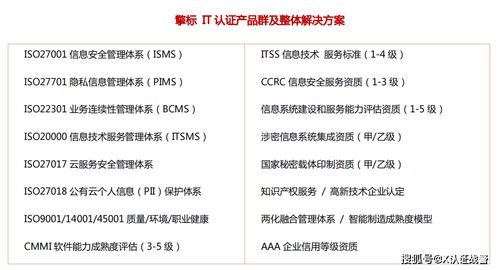 ISO 20000信息技术服务管理标准入门解读
